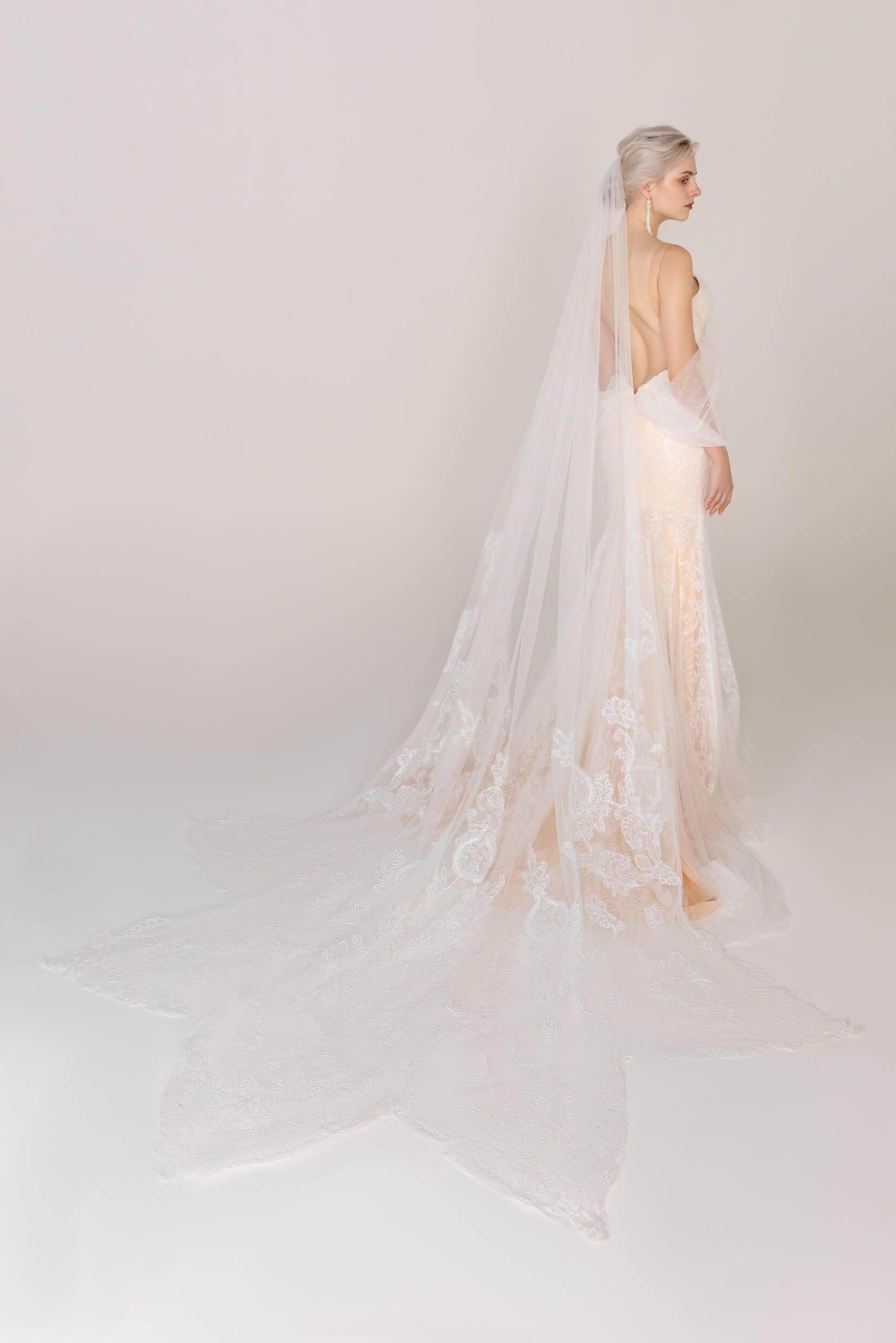 One-tier Lace Edge Tulle Cathedral Veils Appliques CV0245 - COCOMELODY